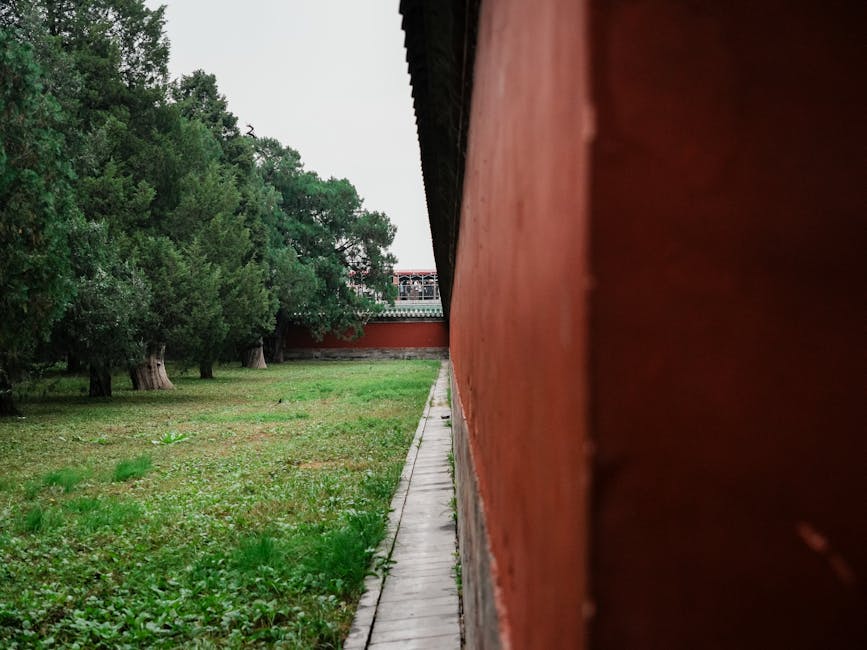 遺產捐贈：冷靜指導下的機智問答