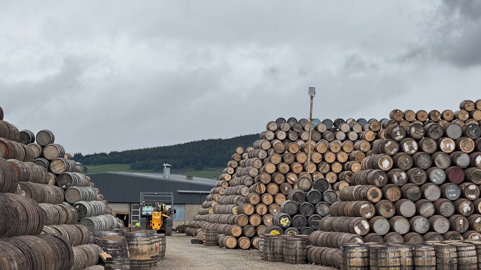 油塘迷你倉：您的理想儲物空間夥伴