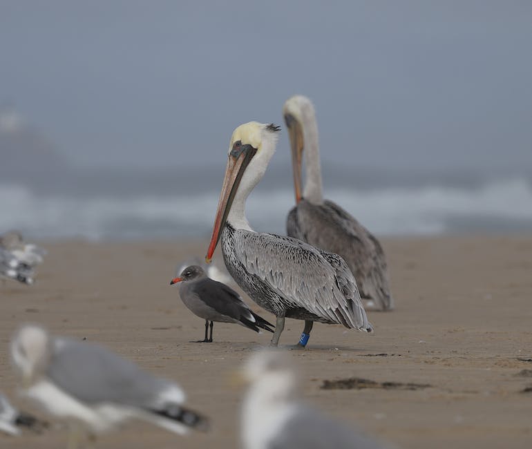 迷你倉的技術應用與解決方案分析