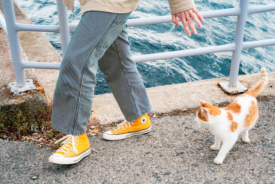 衛衣穿搭全攻略：成為街頭潮流達人的必備單品